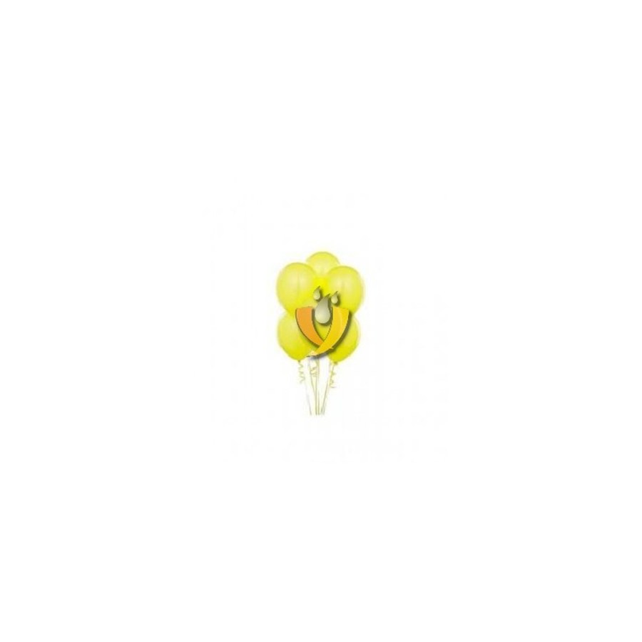 Sarı Balon Paket Özsoy
