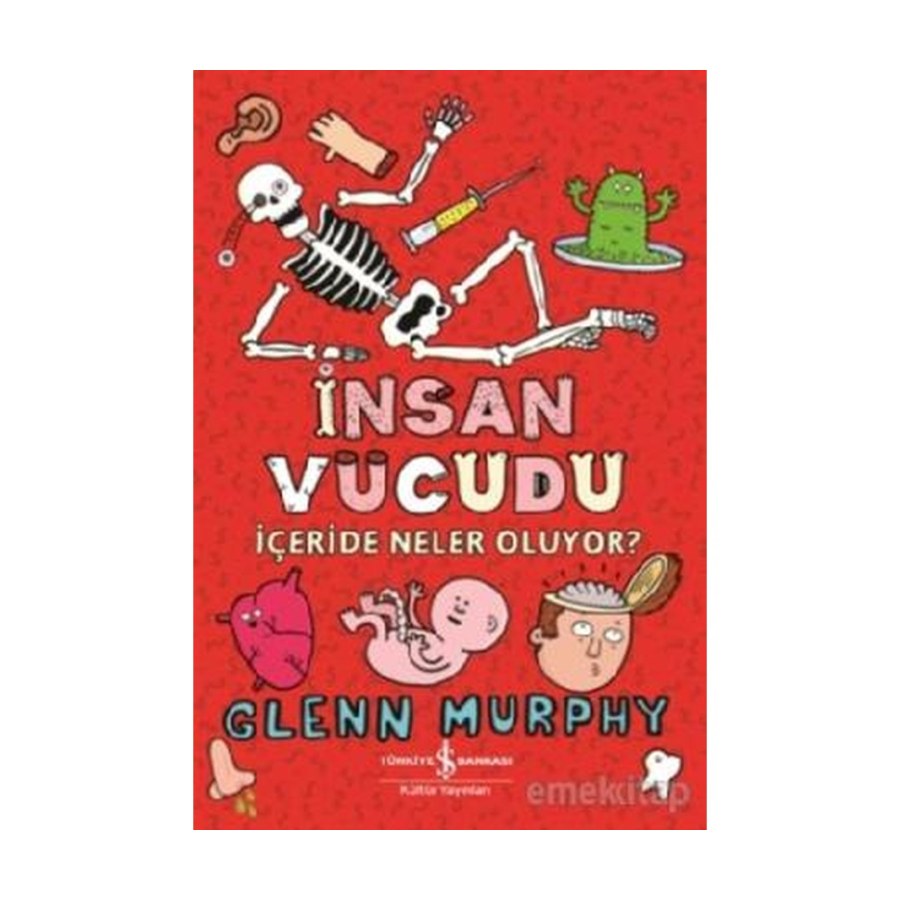 Insan Vücudu – Içeride Neler Oluyor?