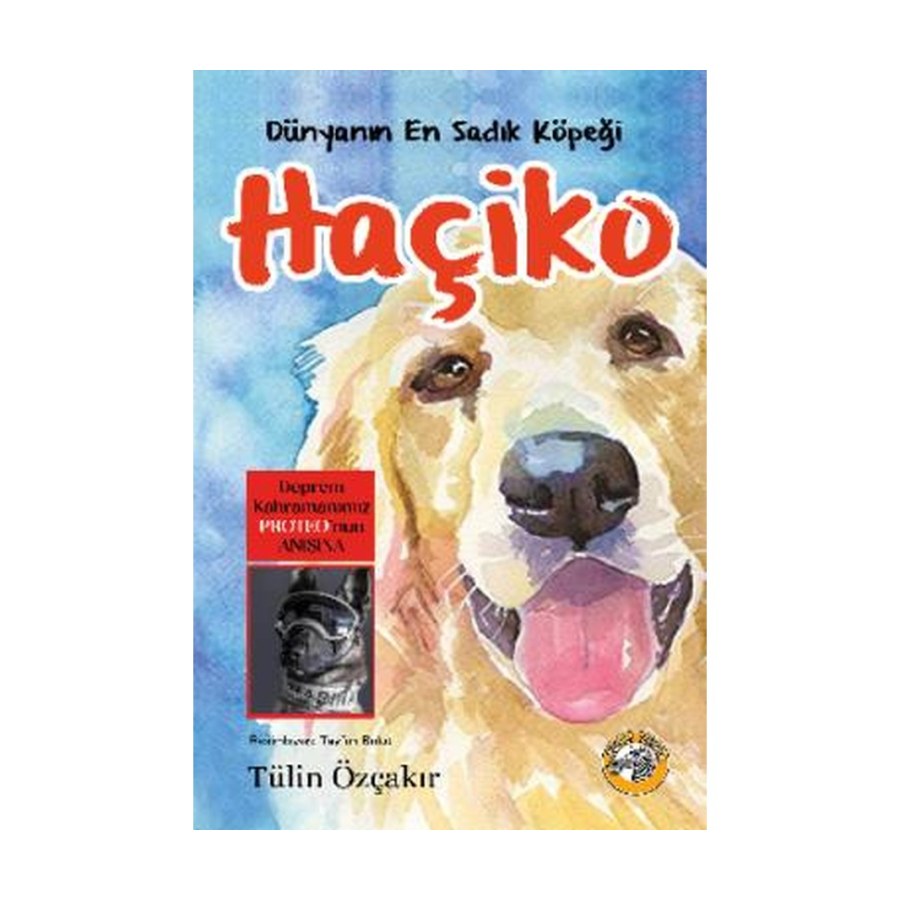 Dünyanın En Sadık Köpeği Haçiko