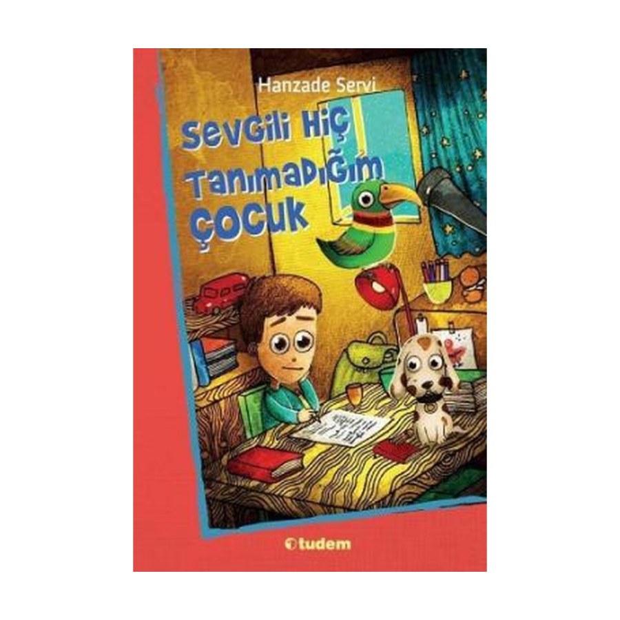 Sevgili Hiç Tanımadığım Çocuk