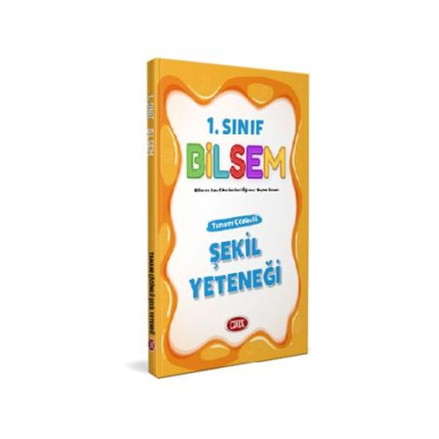 1. Sınıf Bilsem Hazırlık Şekil Yeteneği Data Yayın
